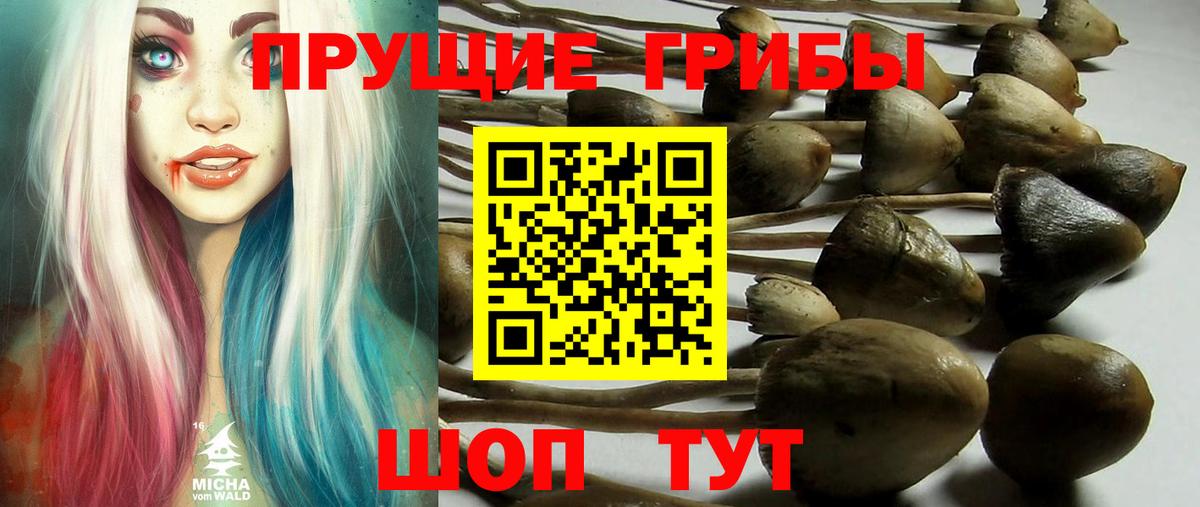 Галлюциногенные грибы мухоморы Элиста
