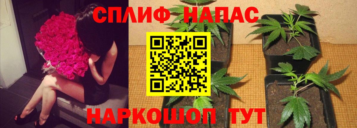 Элиста  Марихуана MAZAR  Вход с VPN  Марихуана Ganja  Бошки марихуана SATIVA & INDICA 